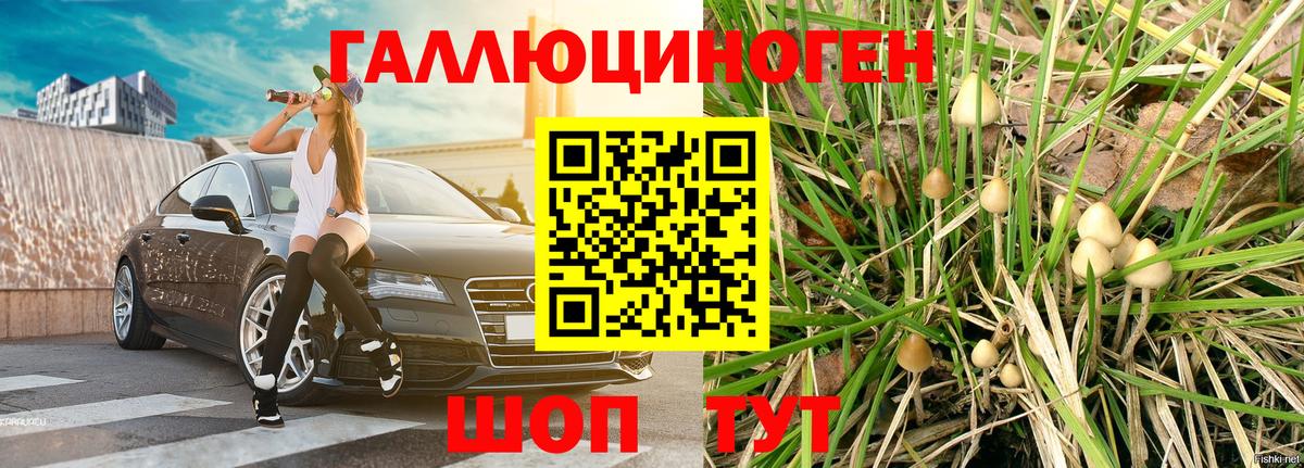 Псилоцибиновые грибы мицелий Иваново